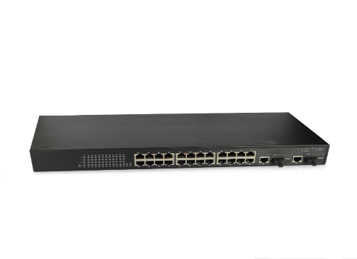 Suis Ethernet 24 port (Kombo)